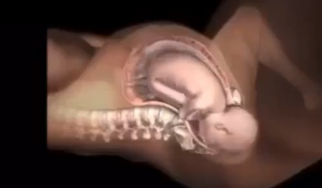 trudnoca-beba-porod2