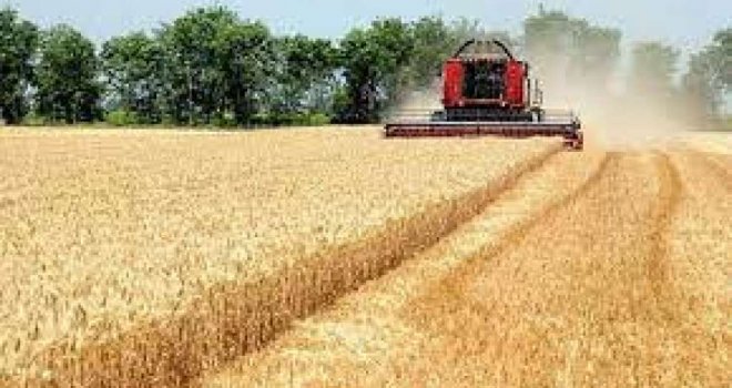 Na čekanju 22 miliona tona žitarica jer Rusija blokira ukrajinske luke: 'Ovo je potencijalna katastrofa za globalnu sigurnost hrane'