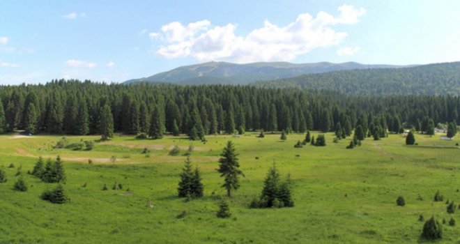 Veliko polje na Igmanu više neće biti prazno i zapušteno: Vlada KS odobrila projekt, evo šta će se sve graditi...