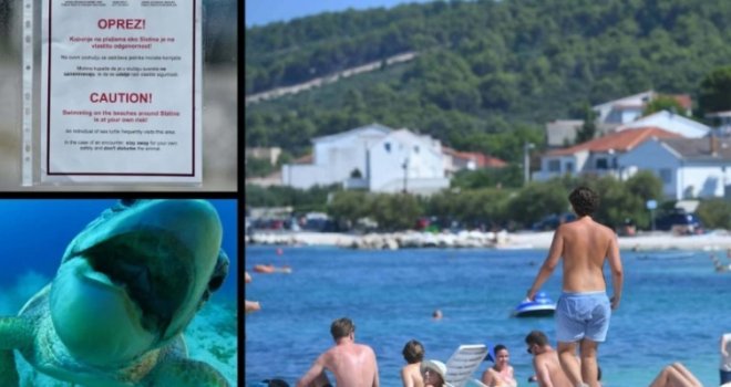 Poznato mjesto na Jadranu u panici, glavata želva izgrizla turiste: 'Ne mičemo se od obale... Skužili smo i koga najviše napada!'