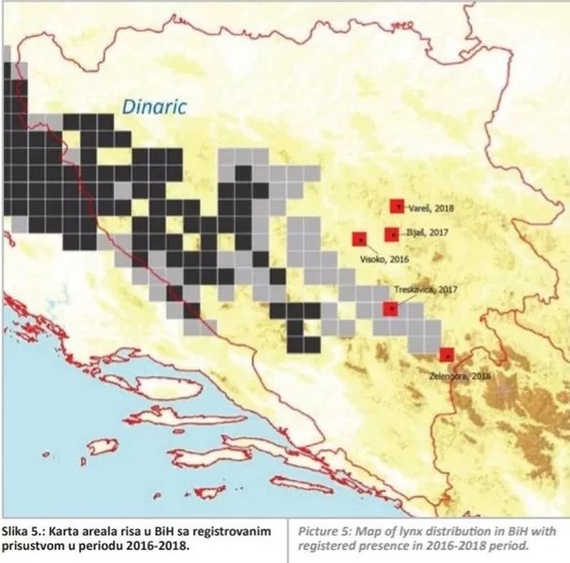 mapa-areala-risa-bih