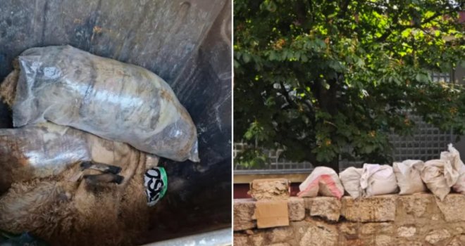 Nije ni čudo što imamo epidemiju: KJKP Rad objavio šta bacaju neodgovorni pojedinci