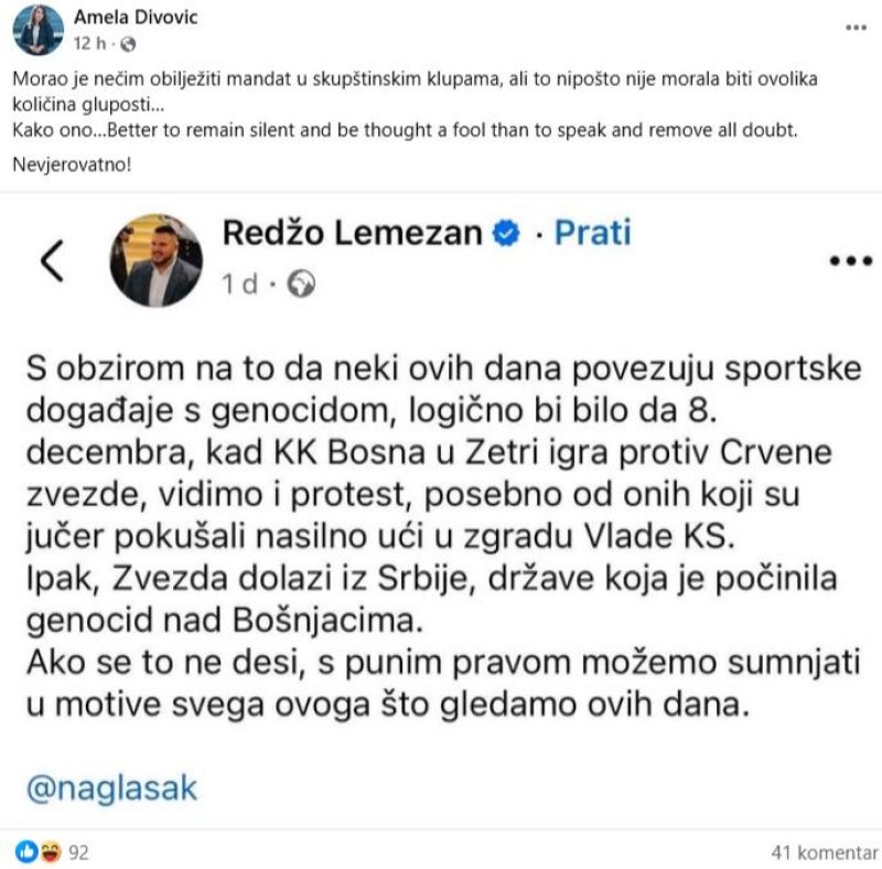 amela-divovic-komentar