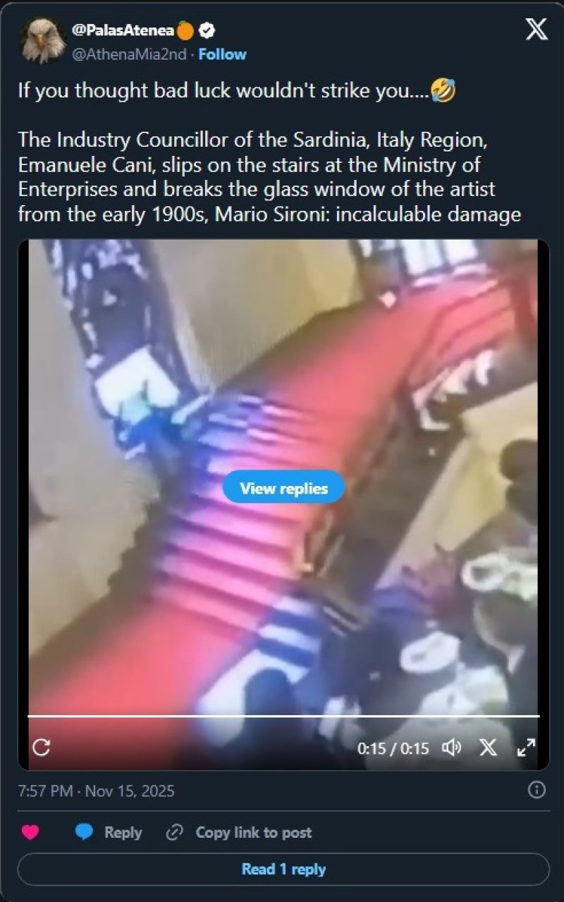 politicar-vitraz-video