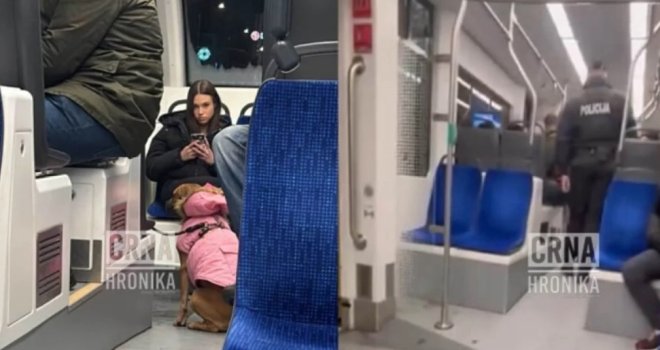 Eskaliralo u sarajevskom tramvaju: Djevojka ušla s psom, vozač nije htio nastaviti vožnju