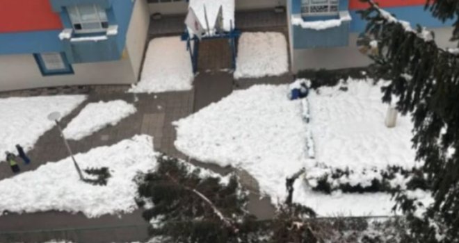 Na Grbavici se srušio bor u blizini škole, stanari upozoravaju na opasnost: Zvučalo je kao zemljotres