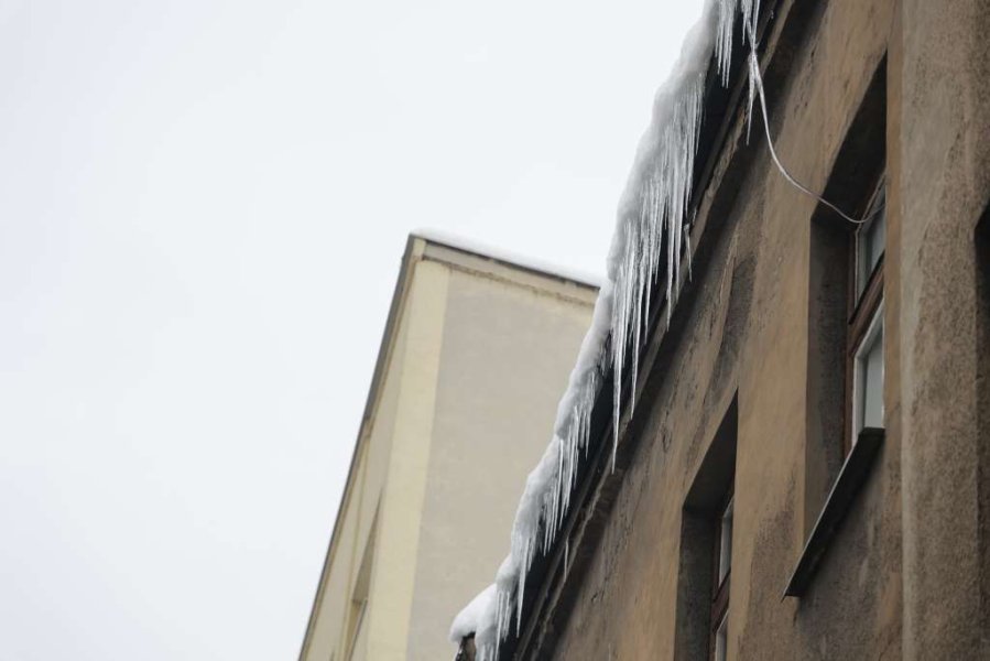 ledenice-sarajevo-fena-3