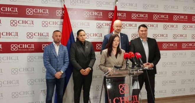 SNSD traži ukidanje Schmidtovih odluka i člana 203a Krivičnog zakona BiH
