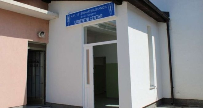 Tri godine rada Urgentnog centra za male životinje u Sarajevu: Ostvareni značajni rezultati