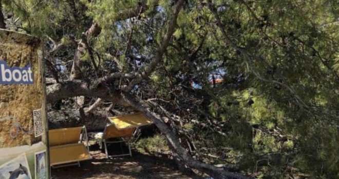 Drama na jadranskoj plaži: Bor se srušio među kupače, povrijeđeno četvero