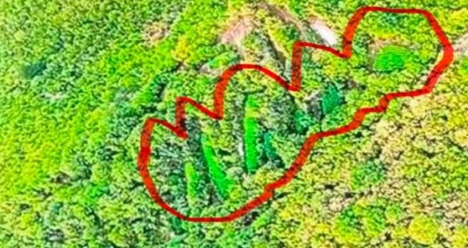 Na području Drežnice otkrivene ogromne plantaže marihuane: Vide se čak i iz zraka