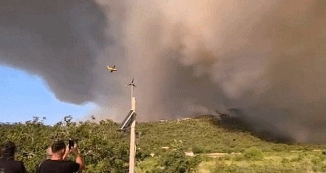 Pelješac nakon požara više ne izgleda isto: Prizori koji će vas šokirati... Pogledajte šta je ostalo!