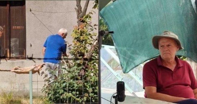 Šta kažu Jamakosmanovići koji okreću prase u krugu Muzeja: U zamjenu traže stan od 100 m² na Marijin Dvoru